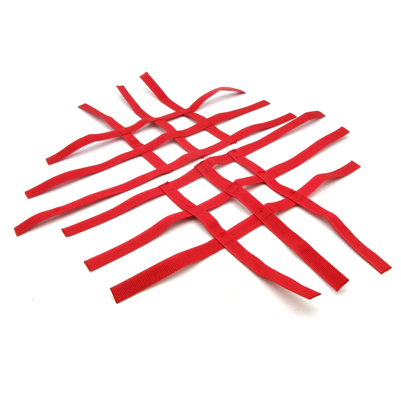 Nerf Bars - R1 Nets