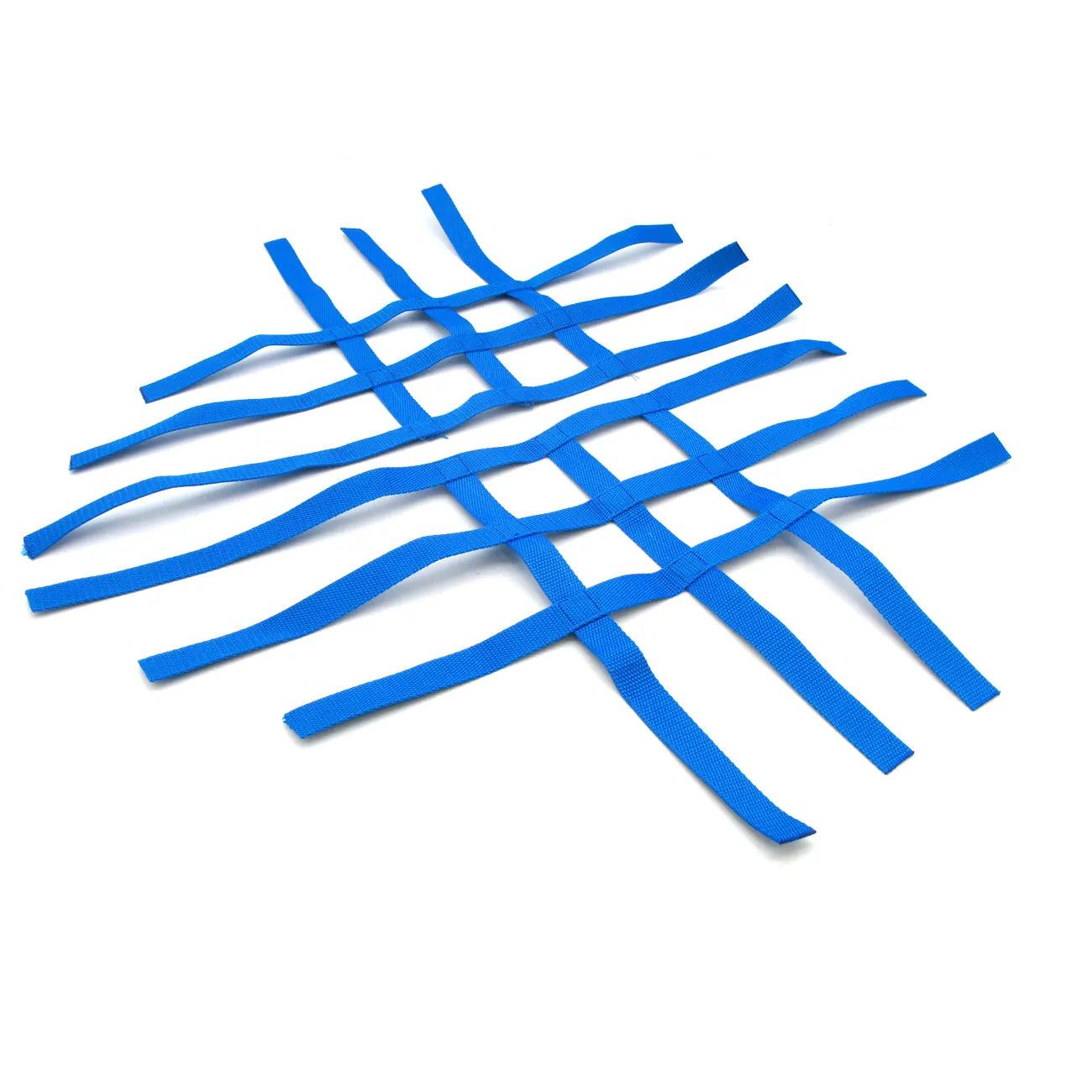 Nerf Bars - R1 Nets