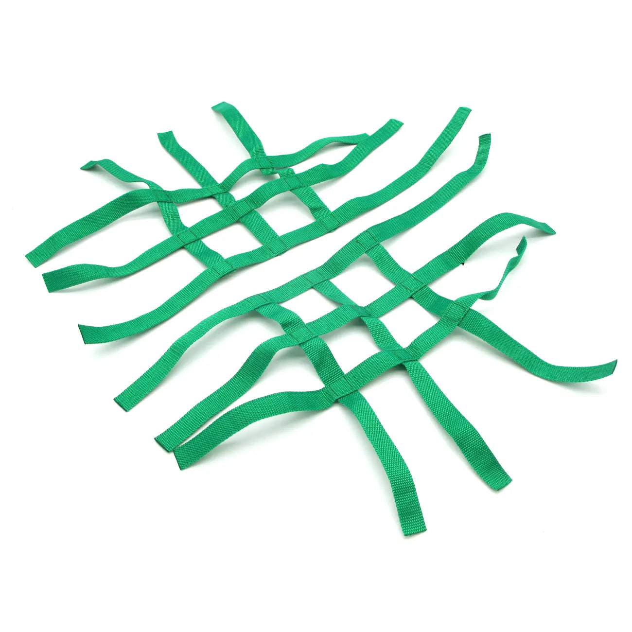 Nerf Bars - R1 Nets