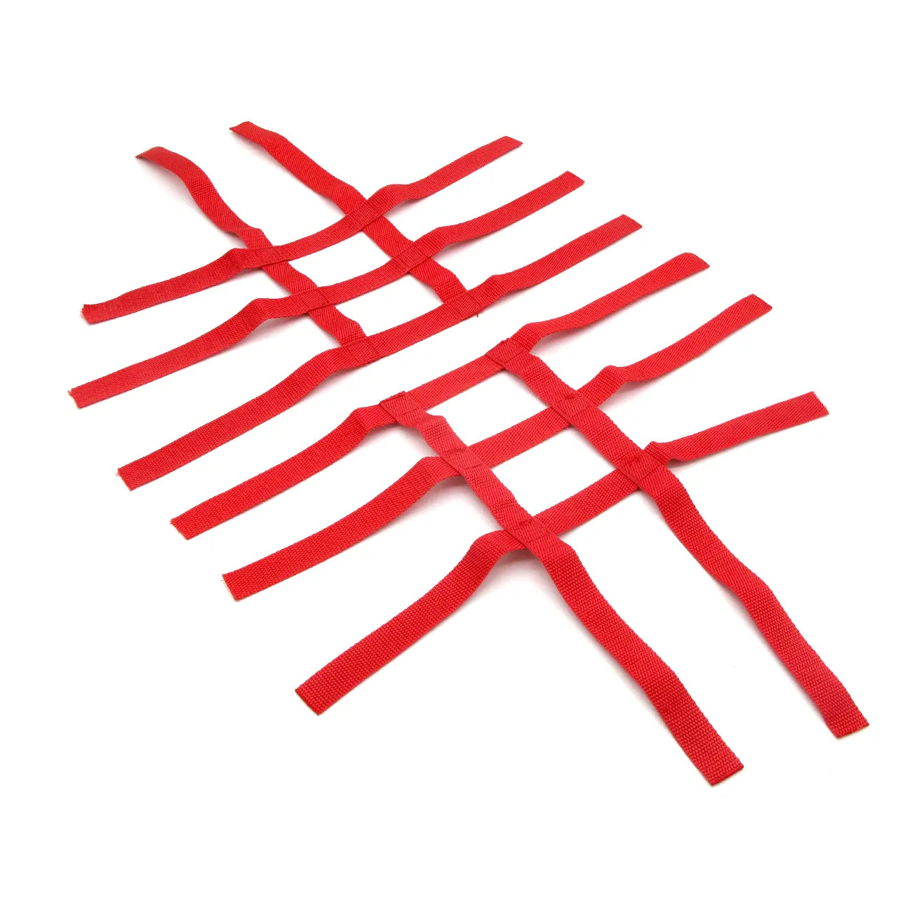Nerf Bars - R1 Nets
