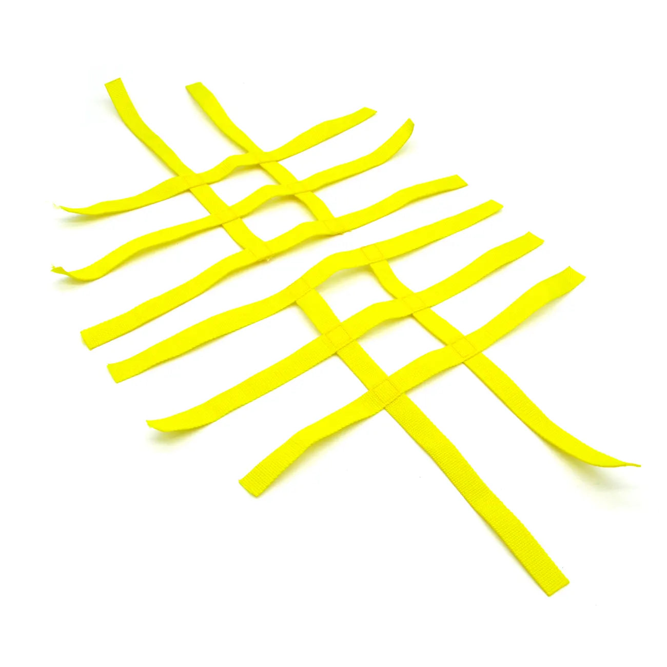 Nerf Bars - R1 Nets