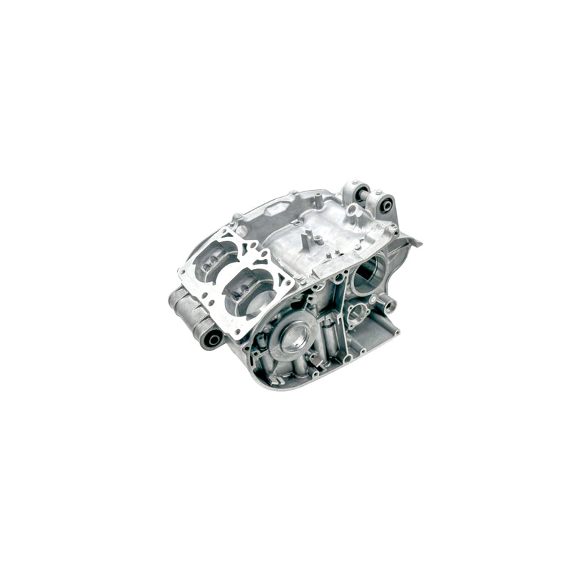 Engine Cases – Ace ATV