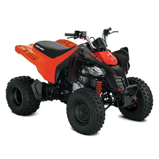 CanAm DS 250