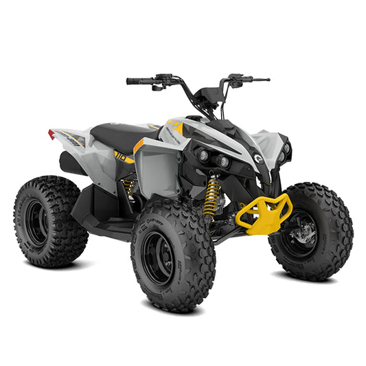 CanAm Renegade EFI 110