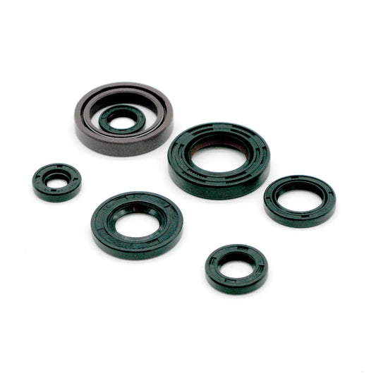 Seal Kit for Yamaha Blaster