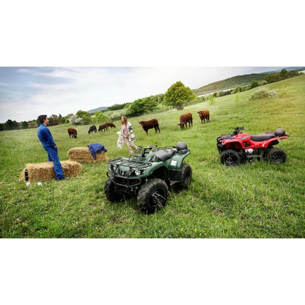 Yamaha Grizzly 350 4WD in action