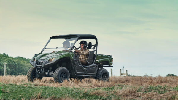 Yamaha Viking EPS - Image 2