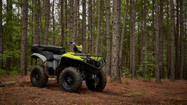 Yamaha Grizzly 700 EPS - Image 4