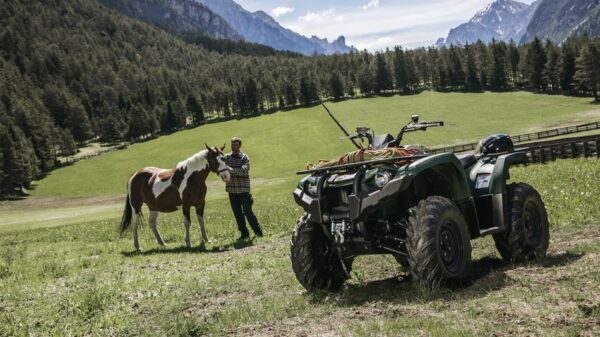 Yamaha Kodiak 450 EPS - Image 5