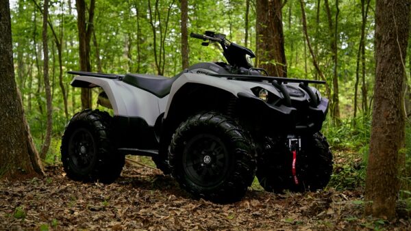 Yamaha-Kodiak-450-EPS